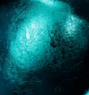Boja godine 2026. WGSN and Coloro: Transformative Teal