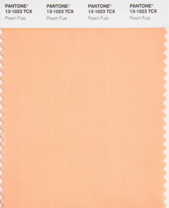 Boja godine 2024., Pantone